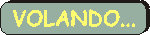 botonvolando.gif (1331 bytes)